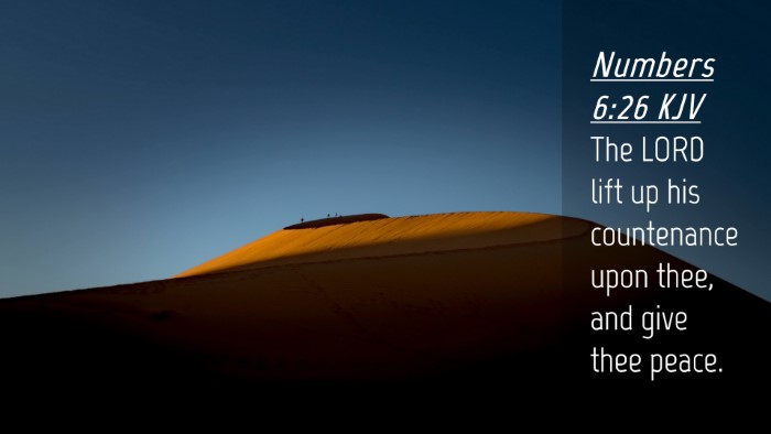 Picture 04 - Numbers 6:26 KJV Desktop Wallpaper - The LORD lift up his countenance upon thee, and - Desktop Bible Verse Wallpaper