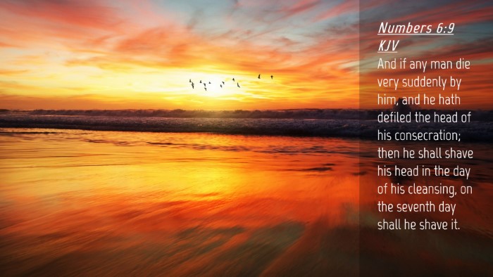 Picture 04 - Numbers 6:9 KJV Desktop Wallpaper - And if any man die very suddenly by him, and he - Desktop Bible Verse Wallpaper