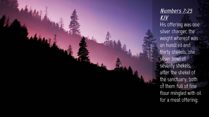 Picture 04 - Numbers 7:25 KJV Desktop Wallpaper - His offering was one silver charger, the weight - Desktop Bible Verse Wallpaper