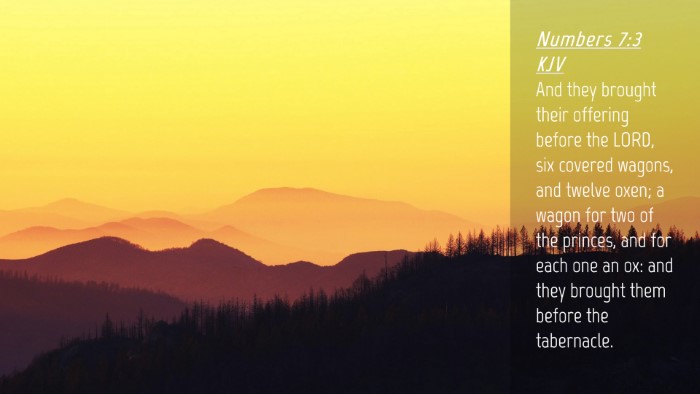 Picture 04 - Numbers 7:3 KJV Desktop Wallpaper - And they brought their offering before the LORD, - Desktop Bible Verse Wallpaper