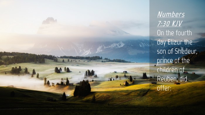 Picture 04 - Numbers 7:30 KJV Desktop Wallpaper - On the fourth day Elizur the son of Shedeur, - Desktop Bible Verse Wallpaper