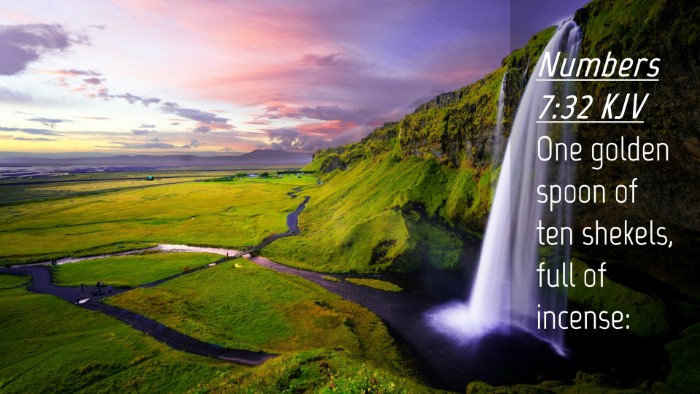Picture 04 - Numbers 7:32 KJV Desktop Wallpaper - One golden spoon of ten shekels, full of - Desktop Bible Verse Wallpaper