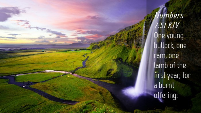 Picture 04 - Numbers 7:51 KJV Desktop Wallpaper - One young bullock, one ram, one lamb of the first - Desktop Bible Verse Wallpaper