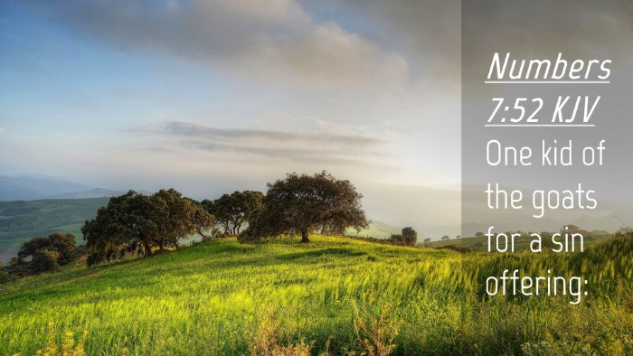 Picture 04 - Numbers 7:52 KJV Desktop Wallpaper - One kid of the goats for a sin - Desktop Bible Verse Wallpaper