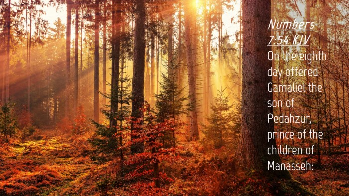 Picture 04 - Numbers 7:54 KJV Desktop Wallpaper - On the eighth day offered Gamaliel the son of - Desktop Bible Verse Wallpaper
