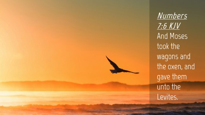 Picture 04 - Numbers 7:6 KJV Desktop Wallpaper - And Moses took the wagons and the oxen, and gave - Desktop Bible Verse Wallpaper
