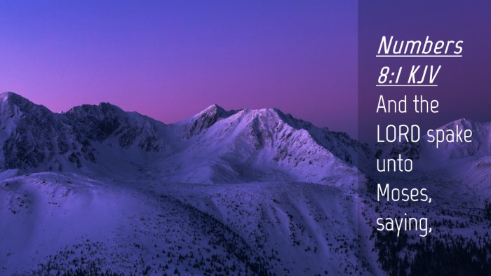 Picture 04 - Numbers 8:1 KJV Desktop Wallpaper - And the LORD spake unto Moses, - Desktop Bible Verse Wallpaper