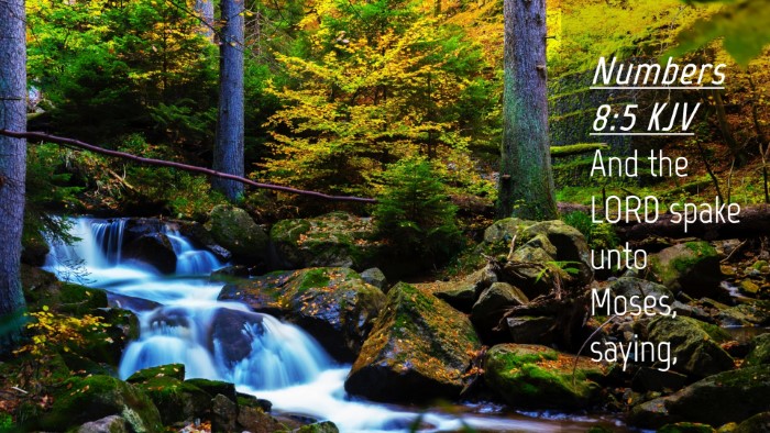Picture 04 - Numbers 8:5 KJV Desktop Wallpaper - And the LORD spake unto Moses, - Desktop Bible Verse Wallpaper