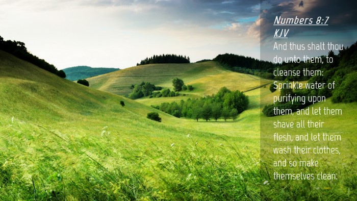 Picture 04 - Numbers 8:7 KJV Desktop Wallpaper - And thus shalt thou do unto them, to cleanse - Desktop Bible Verse Wallpaper