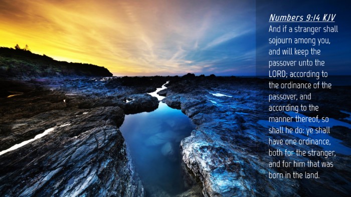 Picture 04 - Numbers 9:14 KJV Desktop Wallpaper - And if a stranger shall sojourn among you, and - Desktop Bible Verse Wallpaper