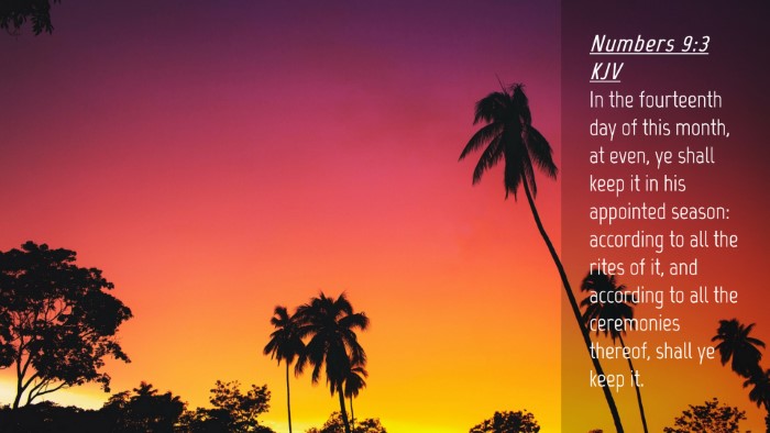 Picture 04 - Numbers 9:3 KJV Desktop Wallpaper - In the fourteenth day of this month, at even, ye - Desktop Bible Verse Wallpaper