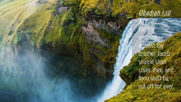 Picture 04 - Obadiah 1:10 KJV Desktop Wallpaper - For thy violence against thy brother Jacob shame - Desktop Bible Verse Wallpaper
