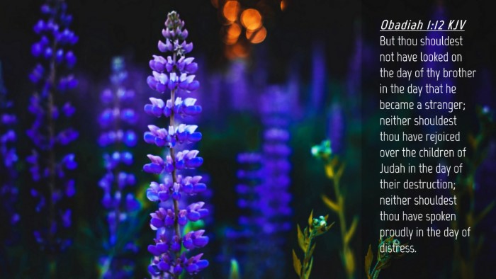 Picture 04 - Obadiah 1:12 KJV Desktop Wallpaper - But thou shouldest not have looked on the day of - Desktop Bible Verse Wallpaper