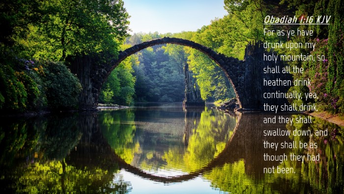 Picture 04 - Obadiah 1:16 KJV Desktop Wallpaper - For as ye have drunk upon my holy mountain, so - Desktop Bible Verse Wallpaper