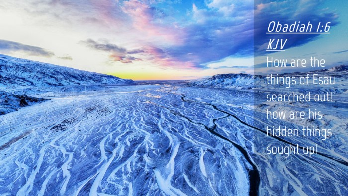 Picture 04 - Obadiah 1:6 KJV Desktop Wallpaper - How are the things of Esau searched out! how are - Desktop Bible Verse Wallpaper