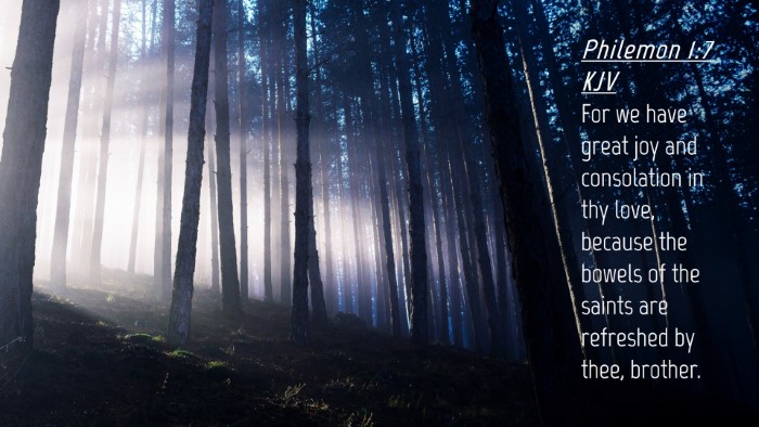 Picture 04 - Philemon 1:7 KJV Desktop Wallpaper - For we have great joy and consolation in thy - Desktop Bible Verse Wallpaper
