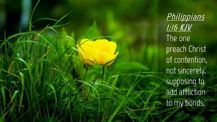 Picture 04 - Philippians 1:16 KJV Desktop Wallpaper - The one preach Christ of contention, not - Desktop Bible Verse Wallpaper