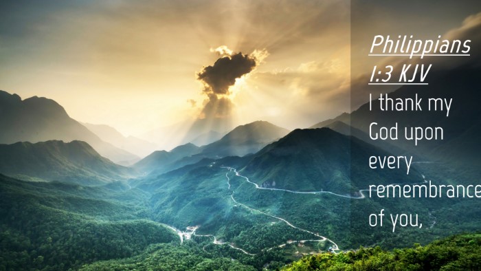 Picture 04 - Philippians 1:3 KJV Desktop Wallpaper - I thank my God upon every remembrance of - Desktop Bible Verse Wallpaper