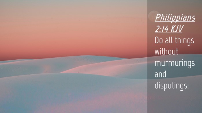 Picture 04 - Philippians 2:14 KJV Desktop Wallpaper - Do all things without murmurings and - Desktop Bible Verse Wallpaper