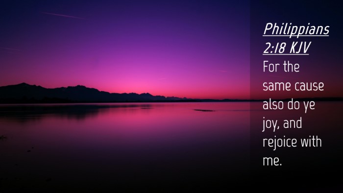 Picture 04 - Philippians 2:18 KJV Desktop Wallpaper - For the same cause also do ye joy, and rejoice - Desktop Bible Verse Wallpaper