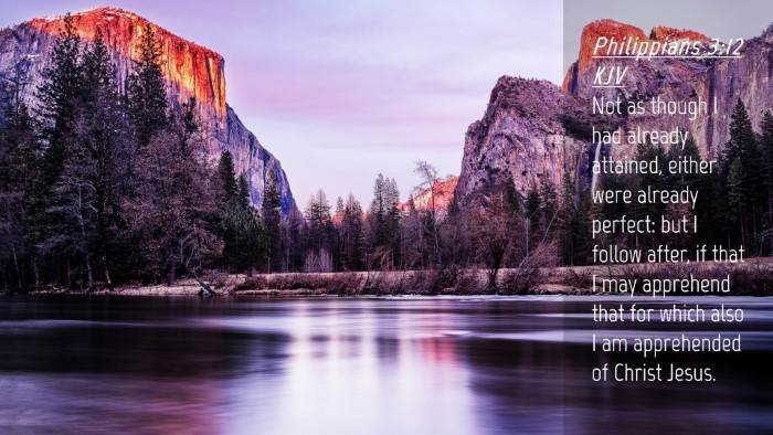 Picture 04 - Philippians 3:12 KJV Desktop Wallpaper - Not as though I had already attained, either were - Desktop Bible Verse Wallpaper