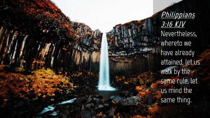 Picture 04 - Philippians 3:16 KJV Desktop Wallpaper - Nevertheless, whereto we have already attained, - Desktop Bible Verse Wallpaper