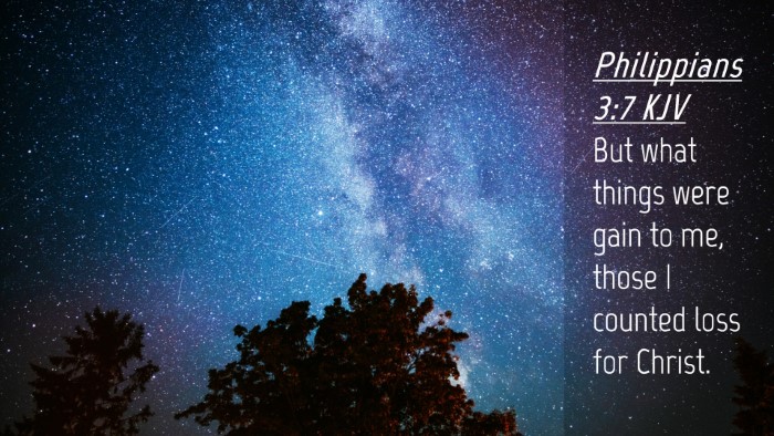 Picture 04 - Philippians 3:7 KJV Desktop Wallpaper - But what things were gain to me, those I counted - Desktop Bible Verse Wallpaper