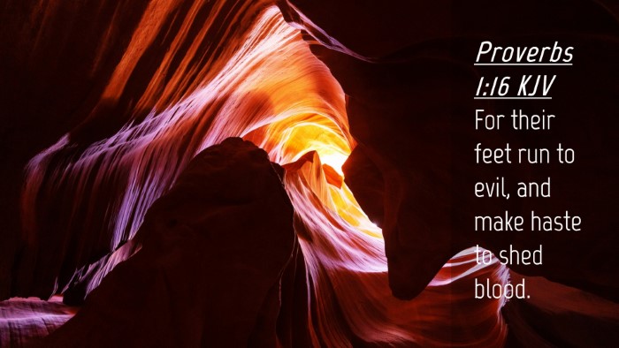 Picture 04 - Proverbs 1:16 KJV Desktop Wallpaper - For their feet run to evil, and make haste to - Desktop Bible Verse Wallpaper