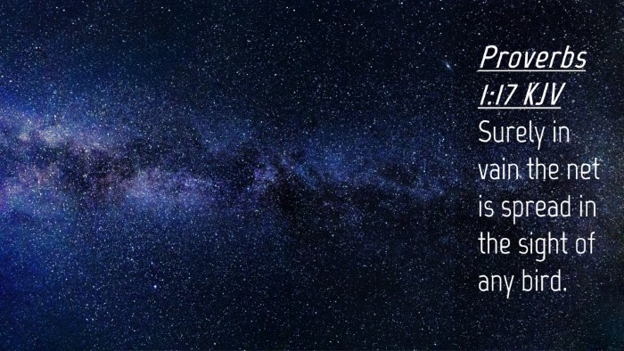Picture 04 - Proverbs 1:17 KJV Desktop Wallpaper - Surely in vain the net is spread in the sight of - Desktop Bible Verse Wallpaper