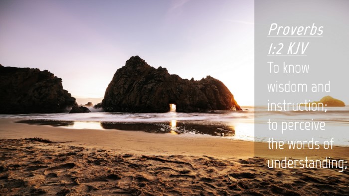 Picture 04 - Proverbs 1:2 KJV Desktop Wallpaper - To know wisdom and instruction; to perceive the - Desktop Bible Verse Wallpaper