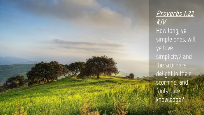 Picture 04 - Proverbs 1:22 KJV Desktop Wallpaper - How long, ye simple ones, will ye love - Desktop Bible Verse Wallpaper