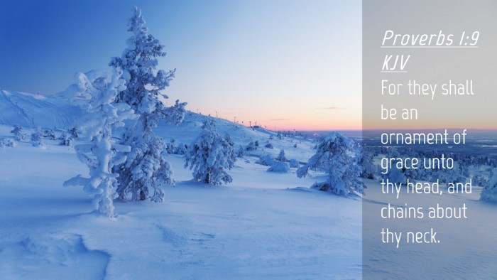 Picture 04 - Proverbs 1:9 KJV Desktop Wallpaper - For they shall be an ornament of grace unto thy - Desktop Bible Verse Wallpaper