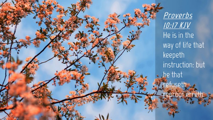 Picture 04 - Proverbs 10:17 KJV Desktop Wallpaper - He is in the way of life that keepeth - Desktop Bible Verse Wallpaper