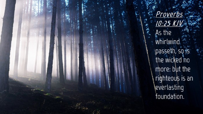 Picture 04 - Proverbs 10:25 KJV Desktop Wallpaper - As the whirlwind passeth, so is the wicked no - Desktop Bible Verse Wallpaper