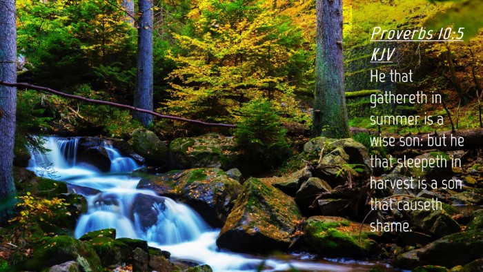 Picture 04 - Proverbs 10:5 KJV Desktop Wallpaper - He that gathereth in summer is a wise son: but he - Desktop Bible Verse Wallpaper