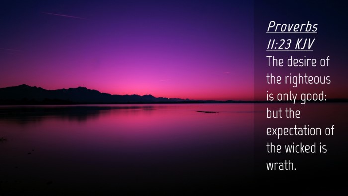 Picture 04 - Proverbs 11:23 KJV Desktop Wallpaper - The desire of the righteous is only good: but the - Desktop Bible Verse Wallpaper