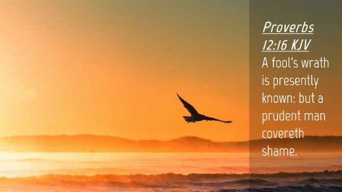 Picture 04 - Proverbs 12:16 KJV Desktop Wallpaper - A fool's wrath is presently known: but a prudent - Desktop Bible Verse Wallpaper