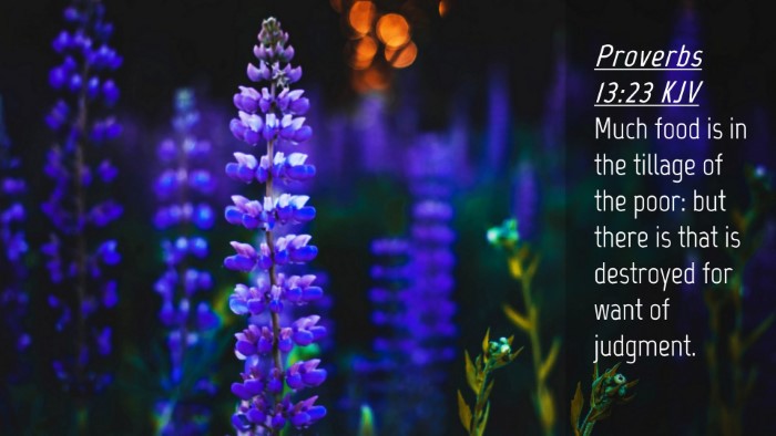 Picture 04 - Proverbs 13:23 KJV Desktop Wallpaper - Much food is in the tillage of the poor: but - Desktop Bible Verse Wallpaper