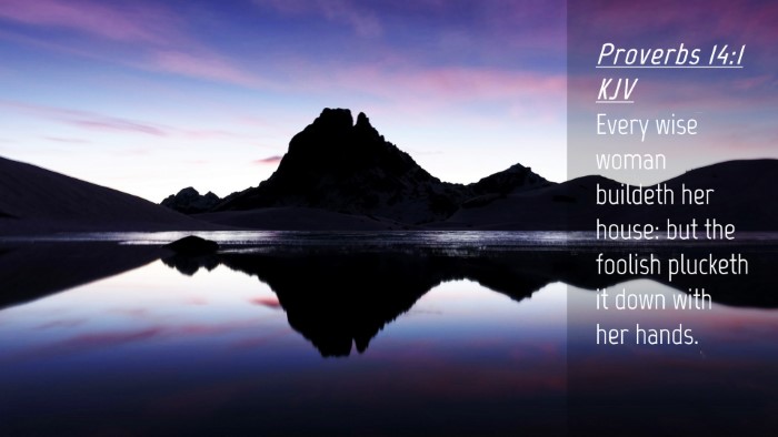 Picture 04 - Proverbs 14:1 KJV Desktop Wallpaper - Every wise woman buildeth her house: but the - Desktop Bible Verse Wallpaper