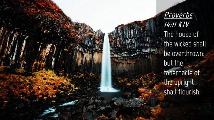 Picture 04 - Proverbs 14:11 KJV Desktop Wallpaper - The house of the wicked shall be overthrown: but - Desktop Bible Verse Wallpaper