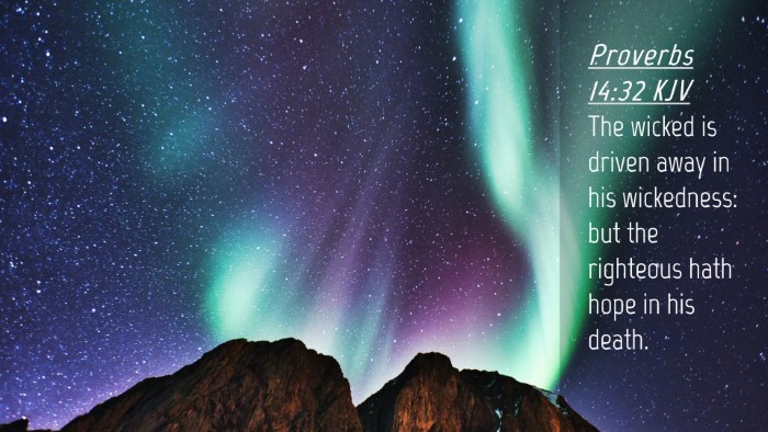 Picture 04 - Proverbs 14:32 KJV Desktop Wallpaper - The wicked is driven away in his wickedness: but - Desktop Bible Verse Wallpaper