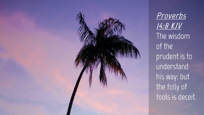 Picture 04 - Proverbs 14:8 KJV Desktop Wallpaper - The wisdom of the prudent is to understand his - Desktop Bible Verse Wallpaper
