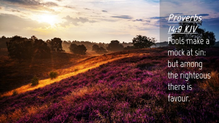 Picture 04 - Proverbs 14:9 KJV Desktop Wallpaper - Fools make a mock at sin: but among the righteous - Desktop Bible Verse Wallpaper