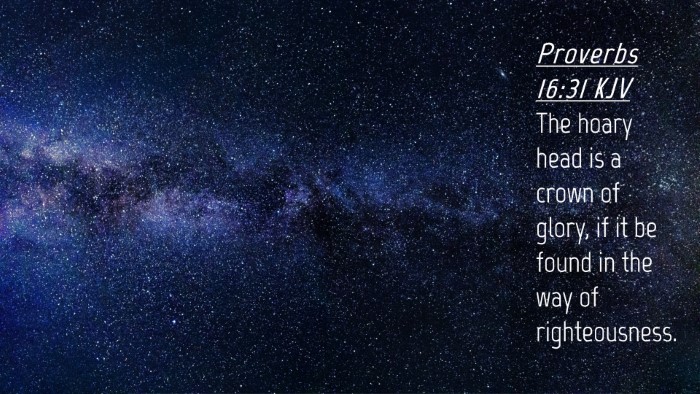 Picture 04 - Proverbs 16:31 KJV Desktop Wallpaper - The hoary head is a crown of glory, if it be - Desktop Bible Verse Wallpaper