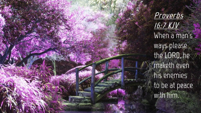 Picture 04 - Proverbs 16:7 KJV Desktop Wallpaper - When a man's ways please the LORD, he maketh even - Desktop Bible Verse Wallpaper