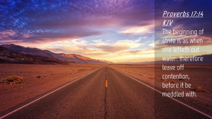 Picture 04 - Proverbs 17:14 KJV Desktop Wallpaper - The beginning of strife is as when one letteth - Desktop Bible Verse Wallpaper