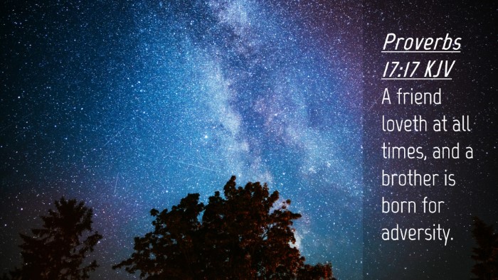 Picture 04 - Proverbs 17:17 KJV Desktop Wallpaper - A friend loveth at all times, and a brother is - Desktop Bible Verse Wallpaper