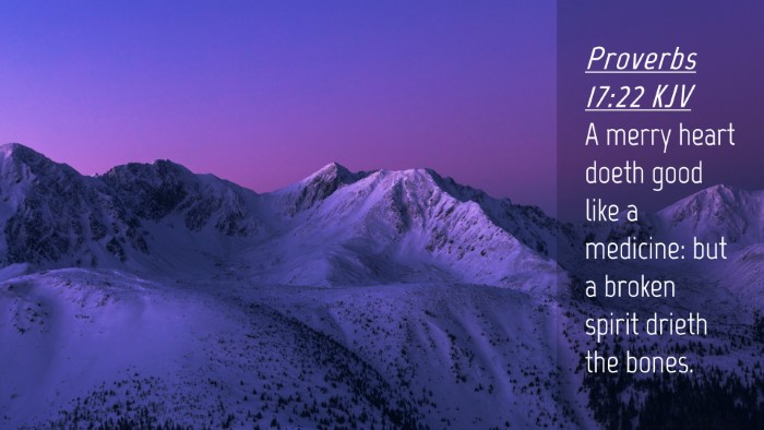 Picture 04 - Proverbs 17:22 KJV Desktop Wallpaper - A merry heart doeth good like a medicine: but a - Desktop Bible Verse Wallpaper