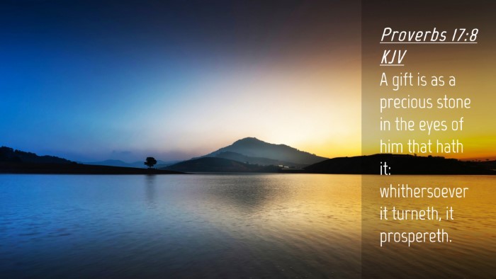 Picture 04 - Proverbs 17:8 KJV Desktop Wallpaper - A gift is as a precious stone in the eyes of him - Desktop Bible Verse Wallpaper