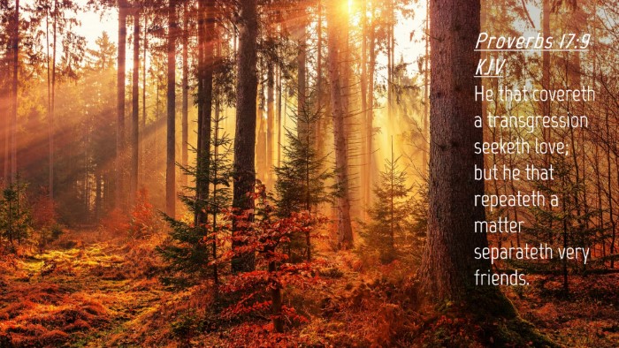 Picture 04 - Proverbs 17:9 KJV Desktop Wallpaper - He that covereth a transgression seeketh love; - Desktop Bible Verse Wallpaper